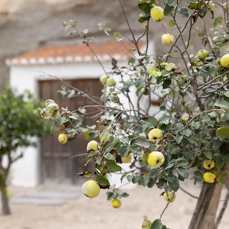 L2alma Villa Granadilla De Abona